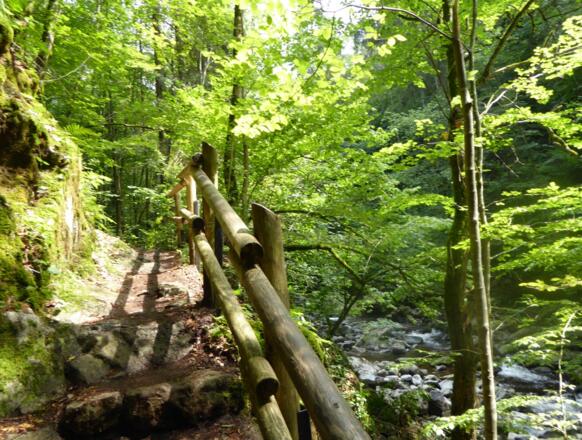 Buchberger Leite - mit Geländer gesichert