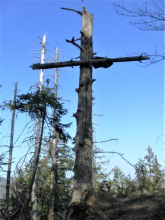 Pitrachspitze