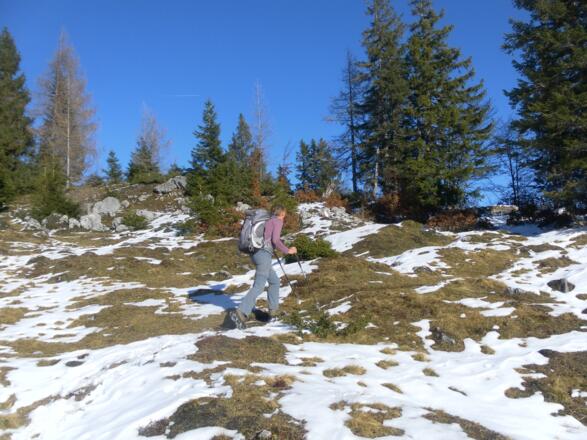 Spitzeck