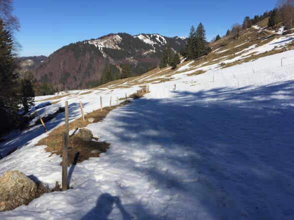 Unteres Viertel der Nordabfahrt vom Seelekopf schon sehr wenig Schnee