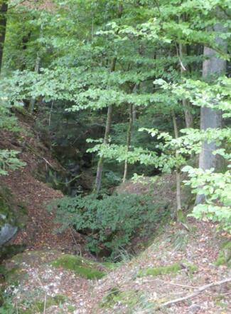Taxölderner Schlucht