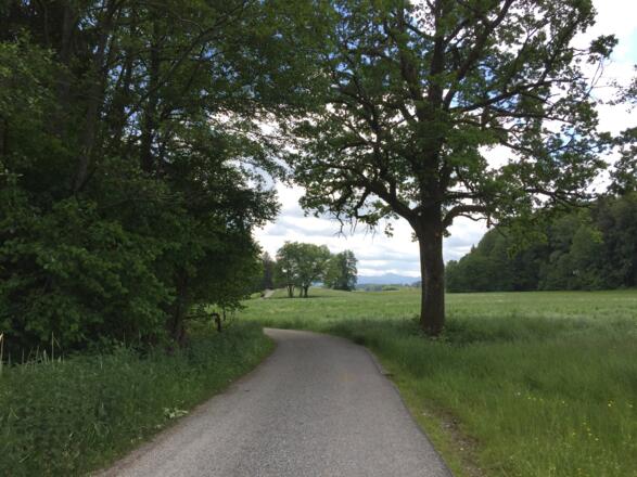 Radweg Hardt - Magnetsried