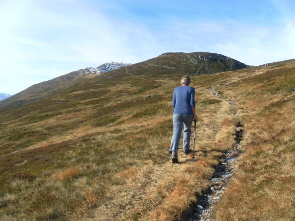 Abzweig vom Wildkogel zur Filzenhöhe
