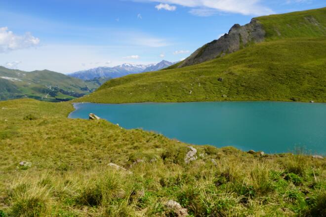Torsee