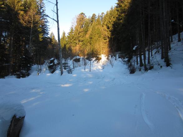 an der ersten Kehre gerade in den Rückeweg