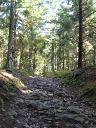 steiniger Pfad zum Breitenauriegel