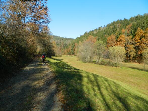 Tal des Maseldorfbachs