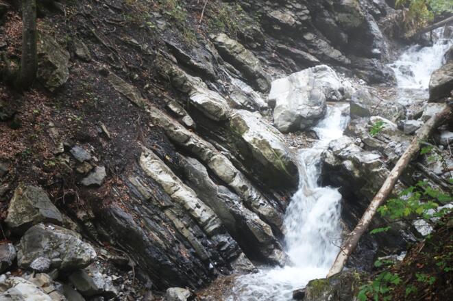 Flysch der Tristel-Formation im Faltenbachtobel