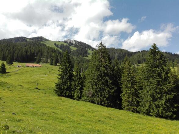 Über Wiesengelände und Almen geht es hinauf zur Kasererwand