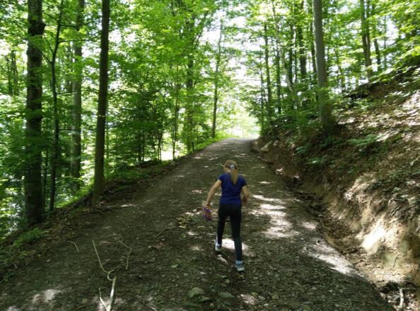 Weg zum Biotop Häuslin