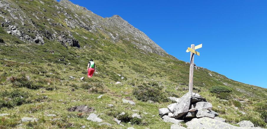 Abzweigung Hahlkogel - Wartkogelsee. Nun rechts ...