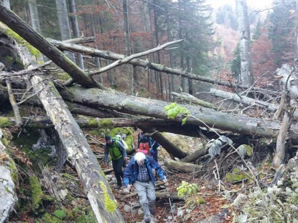 Schindeltal