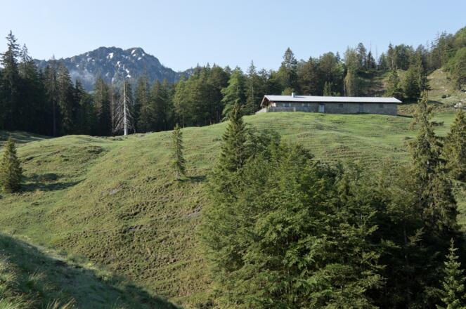 Schildenstein und Geißalm