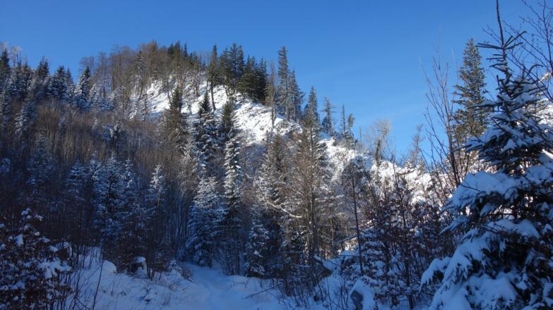 Rücken mit Nordgratroute ~1220m