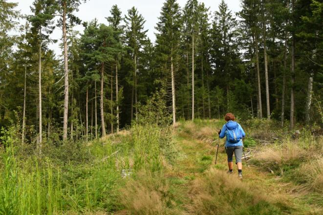 Unterwegs nach Schönau