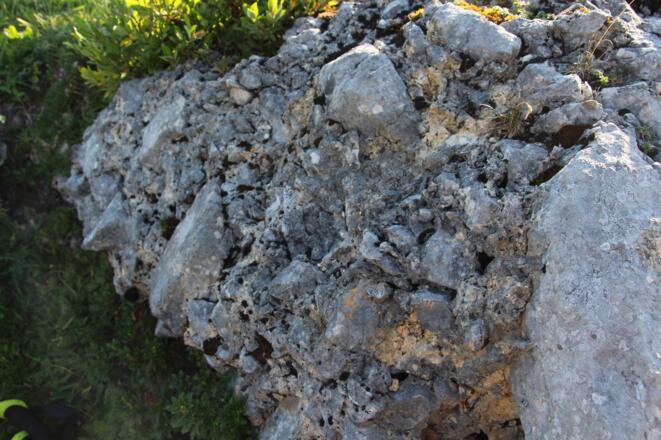 Schachen-Breccie, verfestigtes Steinschlagmaterial