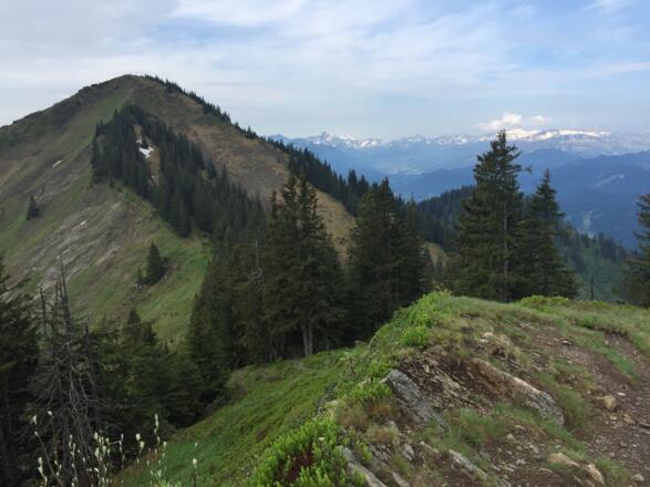 Blick vom Heidelbeerkopf zum Schnippenkopf