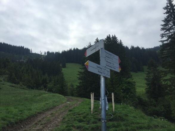 Beim Aufstieg einfach der Beschilderung "Sonnenkopf" folgen