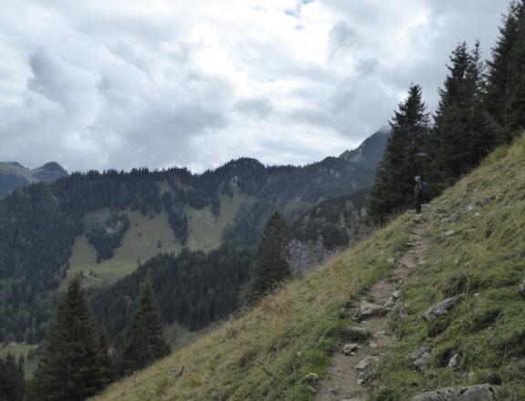 Zum Rosengarten