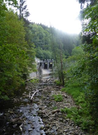 Buchberger Leite - Sußbach Stausee