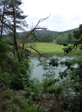 Uferpfad am Eixendorfer Stausee