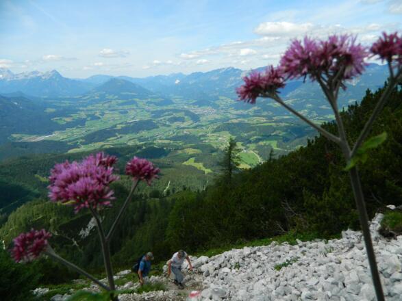 Blick nach Windischgarsten