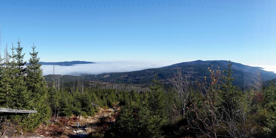 Blick zum Zwieselberg bei Schwarzenberg (Österreich) vom Anstieg zum Plöckenstein
