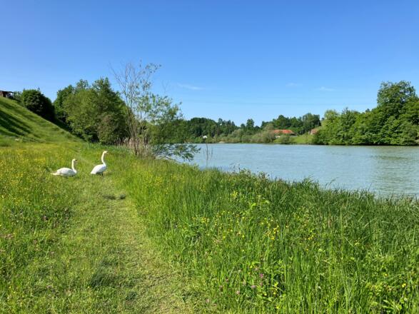 Dürnbachrunde