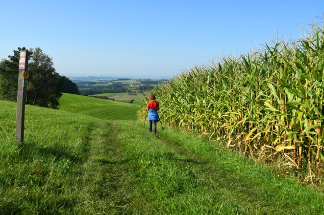 Unterwegs in Richtung Gaisruckdorf