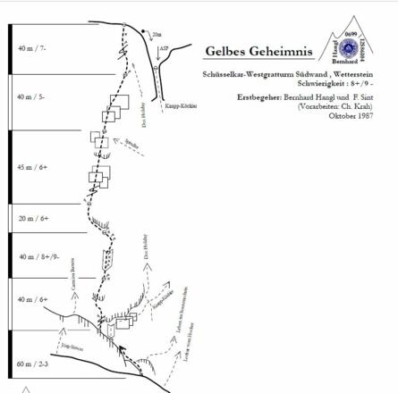 Topo" Gelbes Geheimnis"