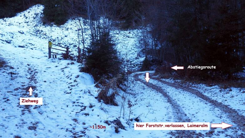 Forststraße links verlassen, alter WEG, blass markiert!