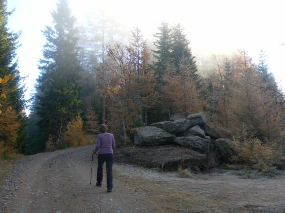 Forstweg