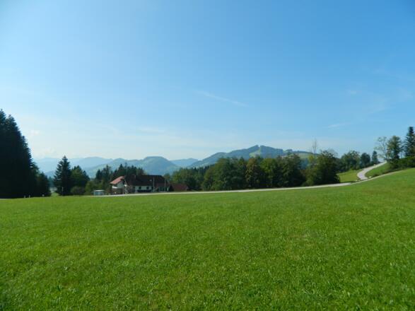 Blick zu Arthofberg und Glasenberg