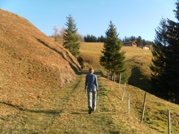 Wurfgrundalm
