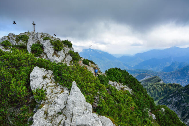 Durch Latschengassen und über Schrofen geht es zum Kreuz.