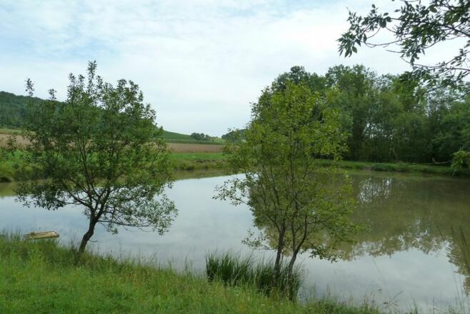 Weiher bei Neundorf