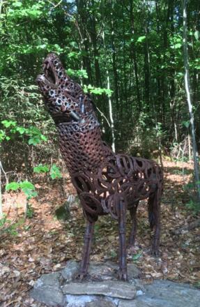 &quot;Wolfssichtung&quot; :-)