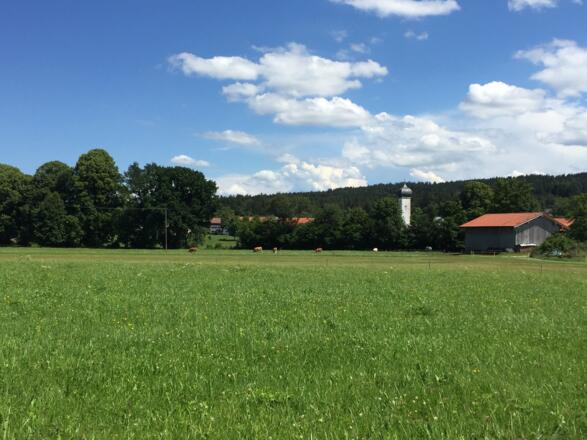 Osterwarngau