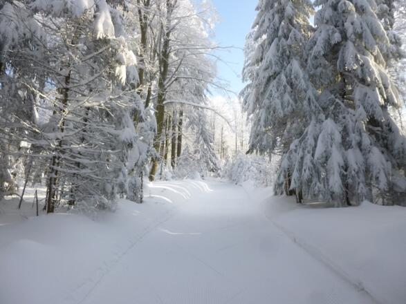 Hohlweg zu den Margaretenhängen
