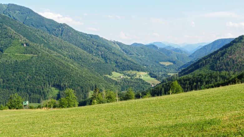 Ausblick vom Gschliff  hinein ins das Reichramingtal