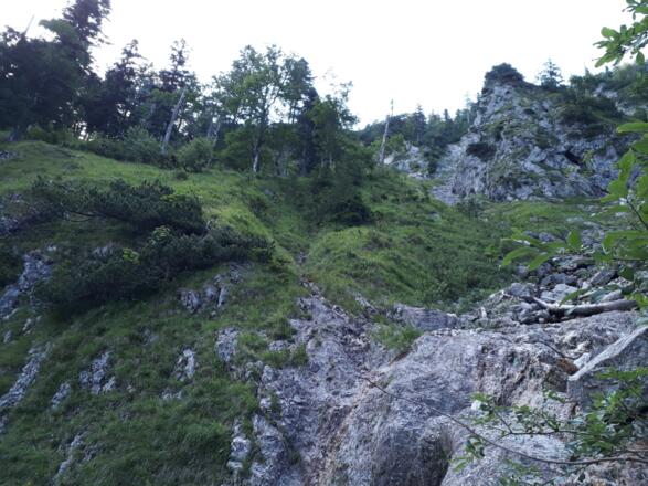 Sonntag, 15. Juli 2018 11:38:45