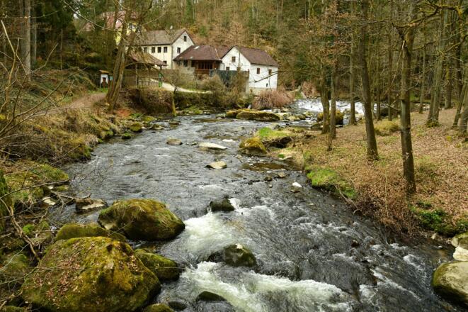die Feldaist - im Hintergrund die Kriehmühle