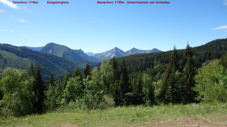 Südblick vom Almgebiet um 1220m