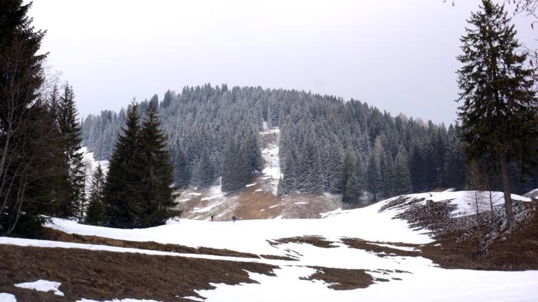 Gameringspitz vom Pistenabstieg ca. 1300m