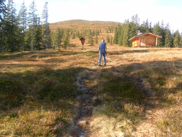 Wetterkreuz und Filzhütte vor Filzenhöhe