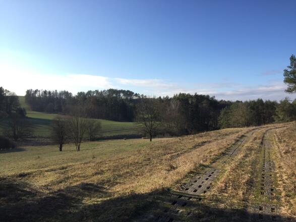 Plattenweg aus Beton / früherer Fahrweg