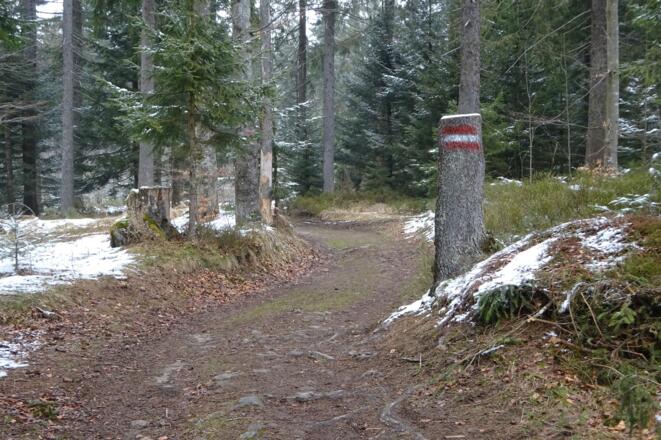 Schöne Wege durch den Böhmerwald