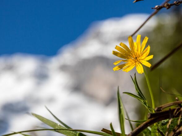 Zurück im Frühling.