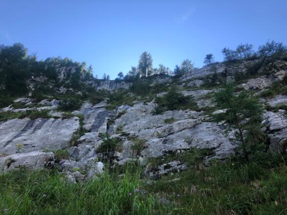 Blick den Feldkogelsteig hinauf