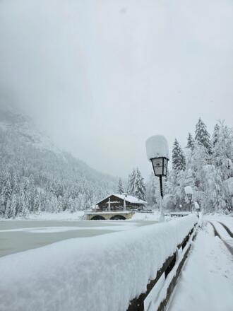Pflegersee im Winter